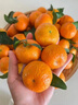 桃李村廣西桂林砂糖橘沙糖桔當季新鮮水果小橘子蜜橘整箱生鮮純甜正宗應 精選高山果【爆甜多汁】 5斤 曬單實(shí)拍圖