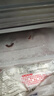 海欣 灌湯福州魚丸1000g 國產包心丸子 早餐半成品火鍋丸料火鍋食材 曬單實拍圖