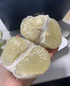 正宗湖南懷化雪峰柚冰糖柚子9斤新鮮水果白心柚老樹(shù)蜜柚苦柚青柚L 5斤中果【4-5個(gè)】 曬單實(shí)拍圖
