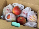 昭通紅露櫻桃小蘋(píng)果5斤新鮮水果現摘脆甜冰糖心紅富士丑平果整箱L 2斤【現摘現發(fā)】 小果【單果50-59mm】 曬單實(shí)拍圖