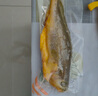 1號會(huì )員店寧德三去黃花魚(yú) 凈重2斤/4條  大黃魚(yú) 深海魚(yú) 冷凍海鮮水產(chǎn) 生鮮 曬單實(shí)拍圖