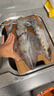 SHIMANO禧瑪諾進(jìn)口磯釣釣魚(yú)竿海船釣黑鯛磯竿路滑竿競技大物竿十大品牌 5.3m 1-530 曬單實(shí)拍圖