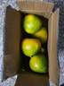 兀果語(yǔ)2025年云南密桔酸桔子當季薄皮橘子孕婦新鮮水果爆汁無(wú)核青 2斤 曬單實(shí)拍圖