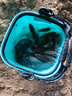 民間藝人魚(yú)鉤子線(xiàn)雙鉤成品仕掛鉤成品子線(xiàn)魚(yú)鉤綁好金袖鉤手工綁制魚(yú)線(xiàn)線(xiàn)組 金袖有刺4.0號鉤-0.8子線(xiàn) 曬單實(shí)拍圖