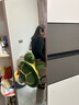 振奮滑雪護具小烏龜護臀屁墊防摔裝備全套裝單雙板防摔護具成人男女 護臀+護膝 曬單實(shí)拍圖