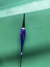 民間藝人咬鉤變色夜光漂夜釣鯽鯉魚(yú)高靈敏魚(yú)漂重力感應電子漂臺釣醒目浮漂 曬單實(shí)拍圖