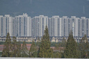 尼康（Nikon）【價(jià)保11.11】Z 28-400mm f/4-8 VR 全畫幅 高倍變焦 運(yùn)動(dòng) 動(dòng)物 美食 便攜微單鏡頭 曬單實(shí)拍圖