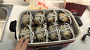 【活蟹】湖鮮陽(yáng)澄 大閘蟹 去繩足重 全母2.3-2.6兩 8只 鮮活海鮮超大螃蟹中秋節禮盒裝 曬單實(shí)拍圖