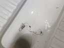 石頭A30 Pro洗地機AI全向助力【0纏毛 90℃除菌 超薄躺平】自動(dòng)清洗吸拖洗一體拖地機器人掃地機 曬單實(shí)拍圖