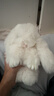 廠(chǎng)家直供仿獺兔毛裝死兔掛件 可愛(ài)萌萌兔毛絨 包包手機車(chē)飾鑰匙扣 米白色 曬單實(shí)拍圖