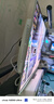 微星26.5英寸2K 280Hz QD-OLED面板 0.03ms響應(yīng)HDR400 Type-c15w 硬件防藍(lán)光升降旋轉(zhuǎn) 電競顯示器 MAG 272QPW QD-OLED X28極光白 曬單實拍圖