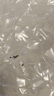 康佳超聲波潔牙器洗牙器結石去清除潔洗牙齒沖洗器去黃牙結石神清潔器煙漬茶漬工具醫用七夕情人節禮物 星空藍95%選擇【真超聲波醫療器械認證】 4支噴頭 曬單實(shí)拍圖