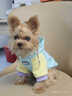 MIKI PAD寵物狗狗衣服中小型犬春秋薄款衛衣貓咪衣服雪納瑞比熊兩腳衣連帽 多巴胺撞色衛衣【帶牽引扣】 S胸圍37cm（參考體重3-6斤） 曬單實(shí)拍圖
