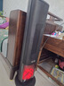 艾美特（AIRMATE）【25年新品】火焰暖風(fēng)機石墨烯取暖器電暖氣家用辦公室節能全屋大面積速熱小太陽(yáng)語(yǔ)音電暖器  曬單實(shí)拍圖