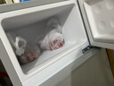 新飛（Frestec）小冰箱 冰箱小型雙開(kāi)門(mén) 迷你雙門(mén)家用宿舍租房冷藏冷凍電冰箱節能省電 58L銀【行業(yè)熱賣(mài)+租房必備】 曬單實(shí)拍圖