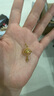 周大福爆閃碎金魚(yú)鱗小行星足金黃金吊墜女送禮物EOF1963 約3.85g計價(jià)(工費520) 曬單實(shí)拍圖