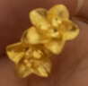 周六福黃金耳釘女足金999花卉耳飾耳針節日禮物 計價(jià) 2.29g 曬單實(shí)拍圖