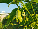 木林森（MULINSEN）男鞋商務(wù)休閑鞋百搭套腳鞋子爸爸鞋駕車(chē)鞋 M9011027 曬單實(shí)拍圖
