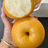 京鮮生山東煙臺萊陽(yáng)秋月梨凈重8斤 單果300g+ 生鮮水果 源頭直發(fā)包郵 曬單實(shí)拍圖