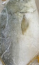 翔泰海南深海金鯧魚(yú)700g 2條 燒烤 火鍋 生鮮魚(yú)類(lèi) BAP認證 海鮮水產(chǎn) 曬單實(shí)拍圖
