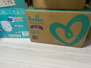 幫寶適（Pampers）超薄干爽拉拉褲嬰兒尿不濕學(xué)步褲 綠幫成長褲小內(nèi)褲男女寶寶 XXXL78片【17kg以上】 曬單實(shí)拍圖