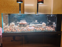 森森（SUNSUN）原生態(tài)溪流缸魚(yú)缸造景家用原生缸客廳超白玻璃底濾魚(yú)缸包安裝 靜謐黑-豪華款（黑金筒燈）升級雙重滴濾盒 1.2米長(cháng)47.6cm寬40cm缸高+85cm柜高 曬單實(shí)拍圖