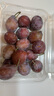 【產(chǎn)地直采】新疆法蘭西西梅約300g 曬單實(shí)拍圖