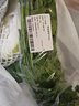 帶根香菜100g 曬單實(shí)拍圖
