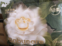babycare金山茶花紙尿褲M(mǎn)50片*2包(6-11kg)嬰兒尿不濕超薄透氣輕柔花苞褲 曬單實(shí)拍圖