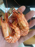 海仙津九節蝦干即食大蝦干烤蝦干對蝦干特大斑節蝦干大烤蝦干貨中秋禮盒 【大號款】烤蝦干750g 120-130只 曬單實(shí)拍圖