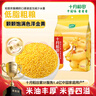 十月稻田 黃小米 1kg 小米雜糧 五谷雜糧 小黃米 粗糧 早餐粥米 2斤 曬單實(shí)拍圖