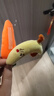 奕思瑞嬰兒防驚跳手握胡蘿卜新生兒安撫玩具寶寶可啃咬毛絨玩偶哄睡神器 曬單實拍圖