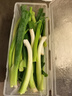 良知農哥【順豐】東北新鮮小蔥 蘸醬蔬菜飯包小菜 3斤 送醬 曬單實(shí)拍圖