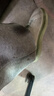 鉑吶苓手術(shù)室洞洞鞋男士夏季外穿厚底EVA防滑溯溪涼鞋包頭涼拖鞋女 卡其【蜂窩防滑、久站不易累】 42-43 適合41-42 曬單實(shí)拍圖