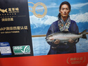 龍羊峽冰鮮國產(chǎn)青海三文魚(yú)整條大魚(yú)禮盒冷水魚(yú)生鮮高原虹鱒送禮順豐 冷凍輪切整魚(yú)禮盒 2.6kg (5-6斤) 曬單實(shí)拍圖