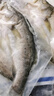 仙泉湖三去白蕉海鱸魚(yú)1斤/條凈膛冷凍刺少肉厚珠海特產(chǎn)500g生鮮中秋食材 曬單實(shí)拍圖