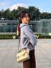 CinvaiKrose包包女包2025年新款斜挎包單肩包女士手提包生日圣誕節禮物送女友 米色【送女友老婆女生禮物走心實(shí)用】 曬單實(shí)拍圖