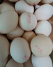 黃天鵝可生食雞蛋 20枚/2.12斤禮盒裝 生鮮雞蛋早餐源頭直發(fā) 無(wú)抗生素 曬單實(shí)拍圖
