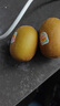 佳沛（zespri）新西蘭 陽(yáng)光金果12粒單果約122-146g 獼猴桃 中秋水果禮盒 曬單實(shí)拍圖