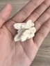 山姆伯伯新鮮核桃【多地次日達】核桃去青皮鮮核桃仁薄紙皮核桃孕婦生核桃 3斤去青皮【較劃算】?jì)?斤 A+級優(yōu)選果丨送夾子 曬單實(shí)拍圖