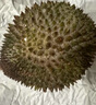 京東超市馬來(lái)西亞D197貓山王榴蓮3.5-4斤保4房新鮮冷凍水果 曬單實(shí)拍圖