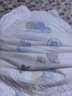 凱兒得樂(lè )比得兔拉拉褲3XL56片(超17kg))嬰兒學(xué)步褲大碼成長(cháng)褲尿不濕 曬單實(shí)拍圖