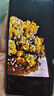 vivo X200 Ultra 12GB+256GB 黑Ka 蔡司三大定焦大師鏡頭 藍(lán)圖自研影像雙芯  V單相機(jī) AI手機(jī) 曬單實(shí)拍圖