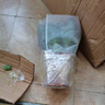 花翁蟹爪蘭盆栽（含加侖盆）室內(nèi)陽臺植物綠植花卉螃蟹抓蓮源頭直發(fā) 曬單實拍圖