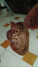 濱隴堂凈重】正宗陳皮黑紅糖姜片涼果生姜即食泡水零食驅寒姜糖廣東特產(chǎn) 即食陳皮黑糖姜【健脾*養胃+驅寒.祛.濕】 熱銷(xiāo)中：【兩大袋/共500克】夠吃大半年 曬單實(shí)拍圖