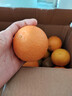 果陸園四川愛(ài)媛38號果凍橙 當季柑橘桔子新鮮當季水果柑橘桔子時(shí)令 整箱4-4.5斤 果徑70-80MM 凈3.5斤 曬單實(shí)拍圖