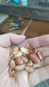 享食兔五香烤花生米山東特產(chǎn)脫紅皮花生油小包裝休閑零食品下酒菜50包 曬單實(shí)拍圖