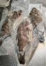 環(huán)球水產(chǎn)三去羅非魚(yú)2.8斤/共4條 免處理去鱗去鰓去內臟 魚(yú)類(lèi) 中秋燒烤食材 曬單實(shí)拍圖
