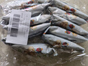 黃飛紅（HUANGFEIHONG）芥末花生250g（25g*10袋）堅果炒貨 休閑零食小吃下酒菜 脫油花生 曬單實(shí)拍圖