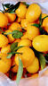 顧果鮮現貨廣西金秋砂糖橘應當季新鮮孕婦水果沙糖桔小蜜橘桔子柑橘整箱 5斤優(yōu)選裝凈重4.5斤 曬單實(shí)拍圖